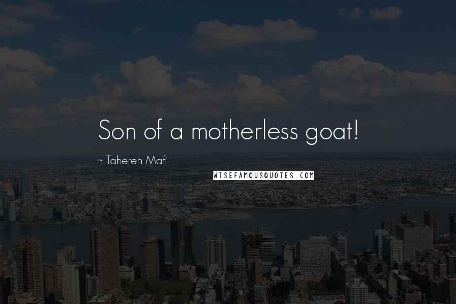 Tahereh Mafi Quotes: Son of a motherless goat!