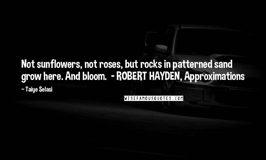 Taiye Selasi Quotes: Not sunflowers, not roses, but rocks in patterned sand grow here. And bloom.  - ROBERT HAYDEN, Approximations