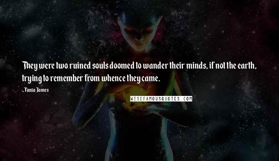 Tania James Quotes: They were two ruined souls doomed to wander their minds, if not the earth, trying to remember from whence they came.