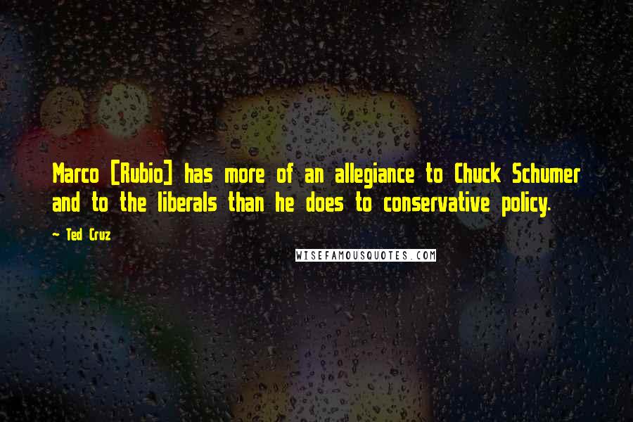 Ted Cruz Quotes: Marco [Rubio] has more of an allegiance to Chuck Schumer and to the liberals than he does to conservative policy.