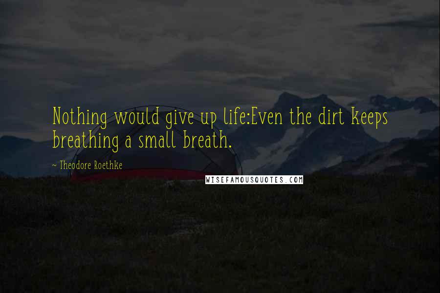 Theodore Roethke Quotes: Nothing would give up life:Even the dirt keeps breathing a small breath.