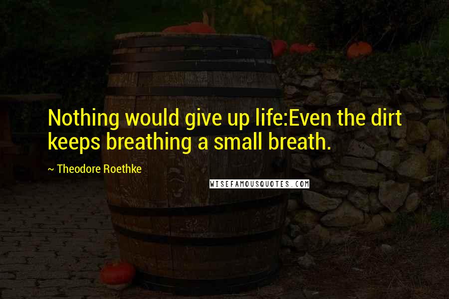 Theodore Roethke Quotes: Nothing would give up life:Even the dirt keeps breathing a small breath.