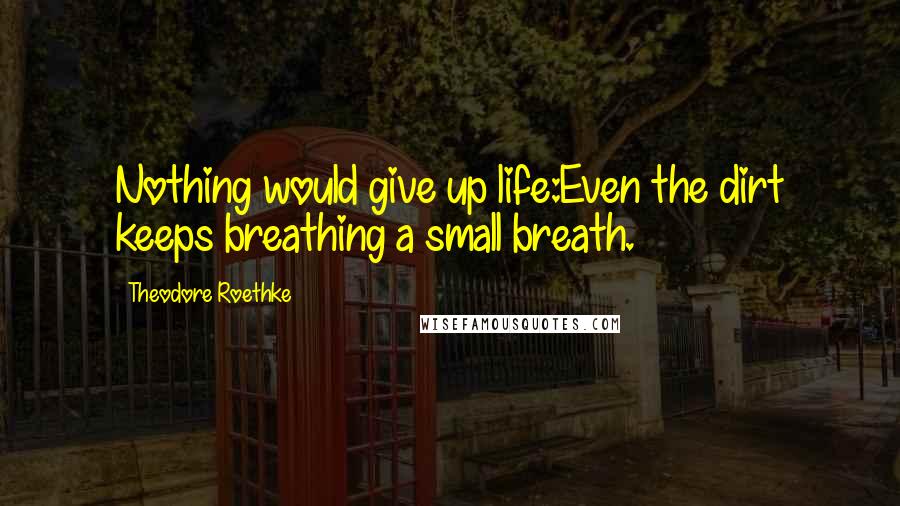 Theodore Roethke Quotes: Nothing would give up life:Even the dirt keeps breathing a small breath.