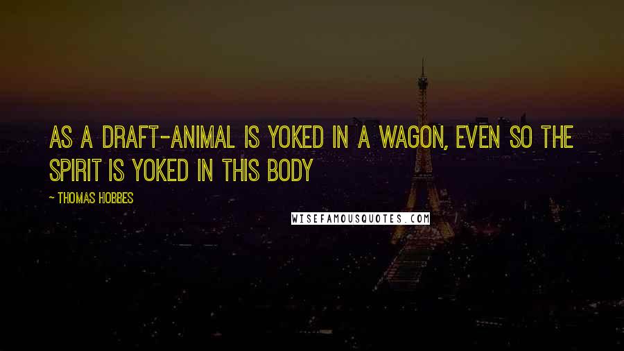 Thomas Hobbes Quotes: As a draft-animal is yoked in a wagon, even so the spirit is yoked in this body