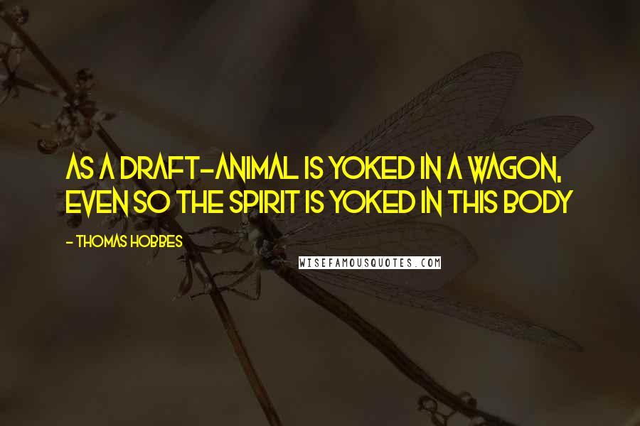 Thomas Hobbes Quotes: As a draft-animal is yoked in a wagon, even so the spirit is yoked in this body