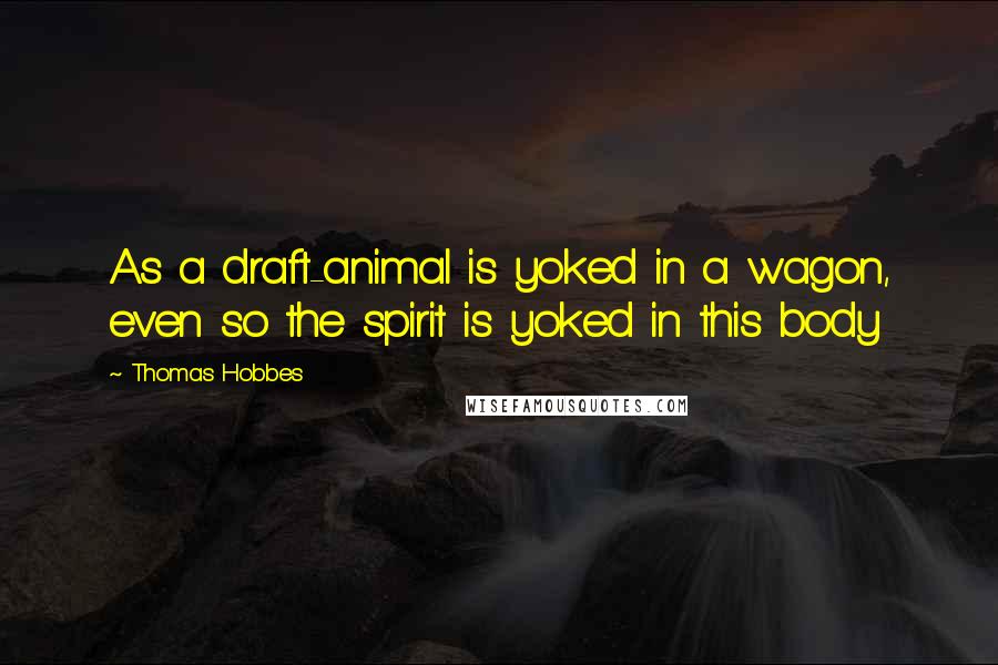 Thomas Hobbes Quotes: As a draft-animal is yoked in a wagon, even so the spirit is yoked in this body