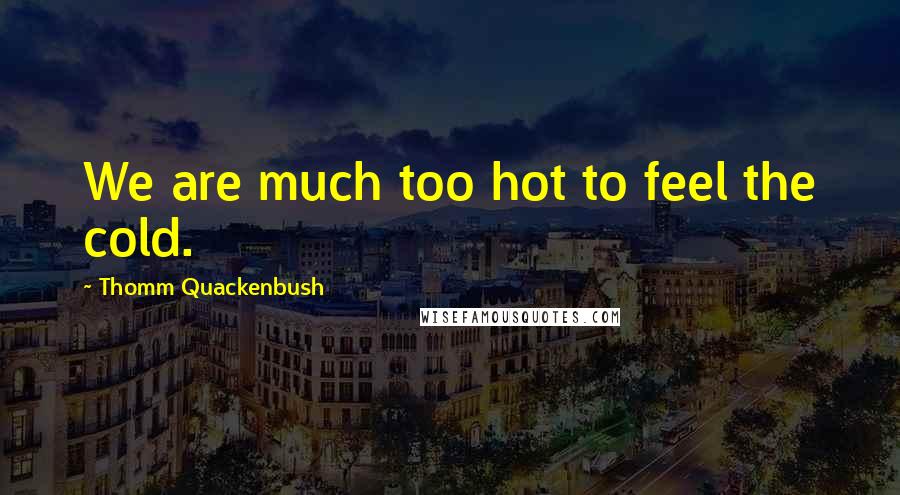 Thomm Quackenbush Quotes: We are much too hot to feel the cold.