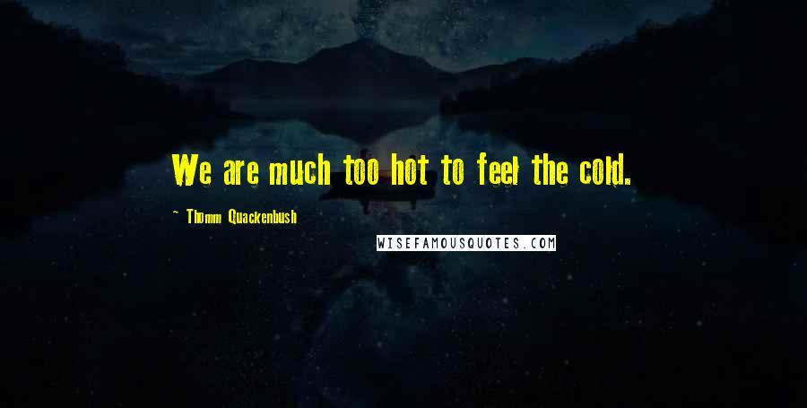 Thomm Quackenbush Quotes: We are much too hot to feel the cold.