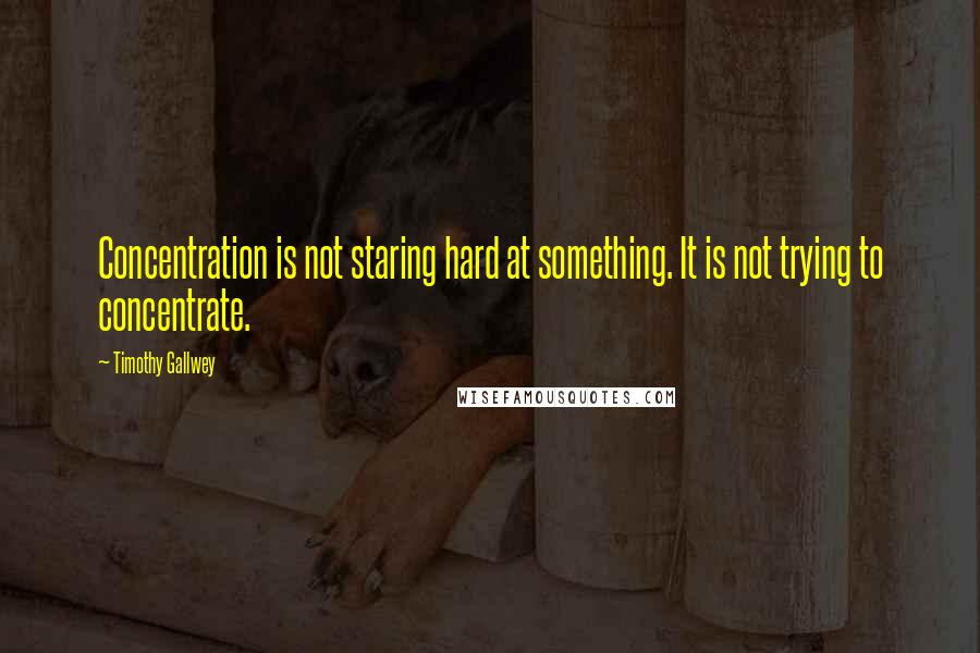 Timothy Gallwey Quotes: Concentration is not staring hard at something. It is not trying to concentrate.