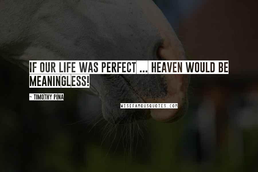 Timothy Pina Quotes: If our life was perfect ... heaven would be meaningless!