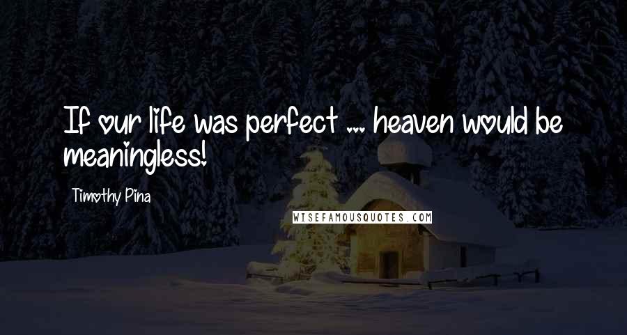 Timothy Pina Quotes: If our life was perfect ... heaven would be meaningless!