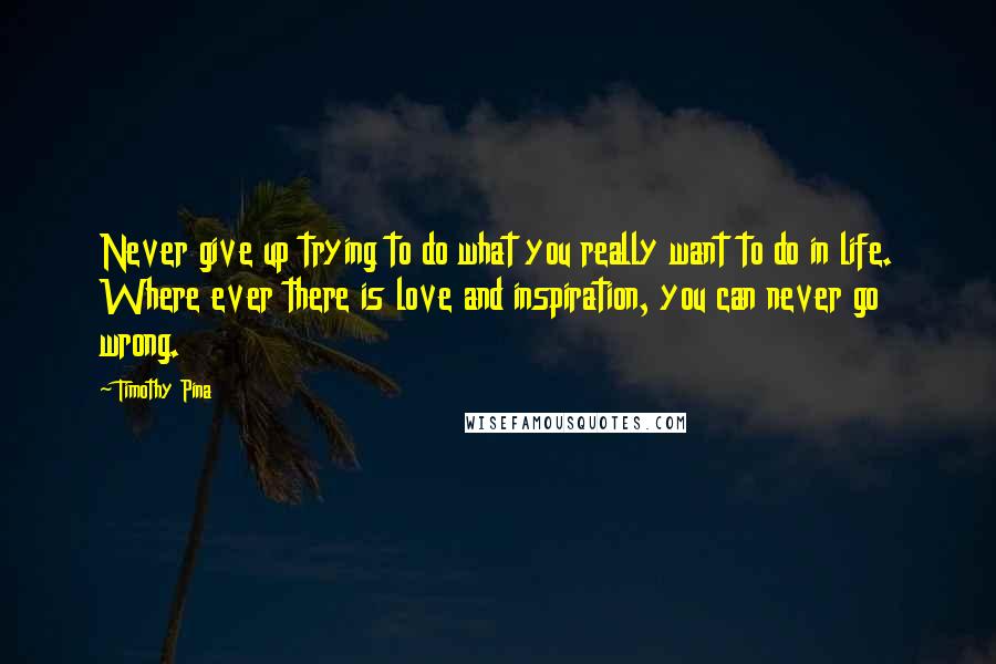 Timothy Pina Quotes: Never give up trying to do what you really want to do in life. Where ever there is love and inspiration, you can never go wrong.