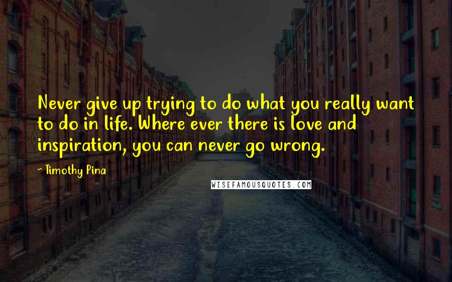 Timothy Pina Quotes: Never give up trying to do what you really want to do in life. Where ever there is love and inspiration, you can never go wrong.