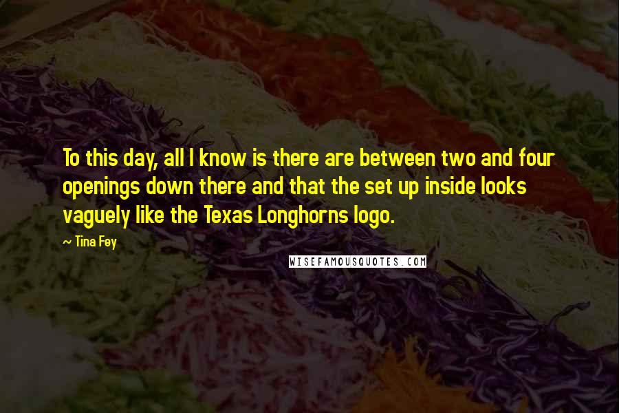 Tina Fey Quotes: To this day, all I know is there are between two and four openings down there and that the set up inside looks vaguely like the Texas Longhorns logo.