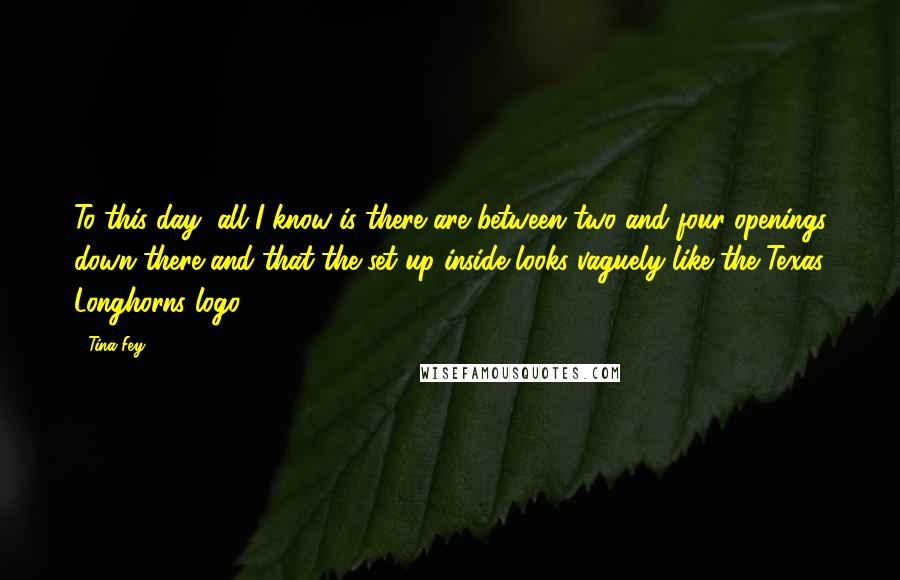 Tina Fey Quotes: To this day, all I know is there are between two and four openings down there and that the set up inside looks vaguely like the Texas Longhorns logo.