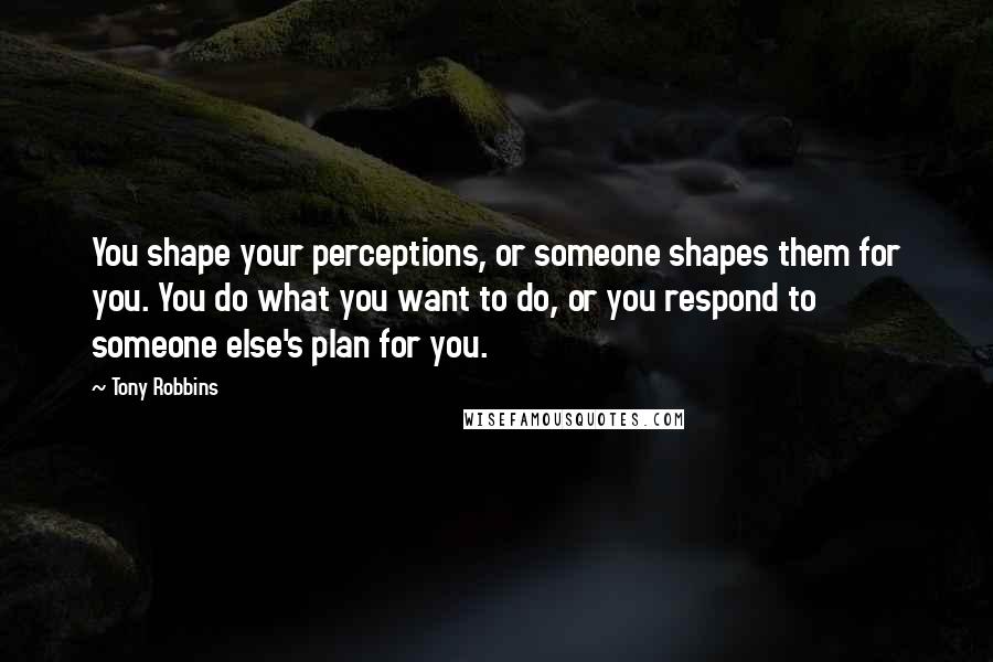 Tony Robbins Quotes: You shape your perceptions, or someone shapes them for you. You do what you want to do, or you respond to someone else's plan for you.