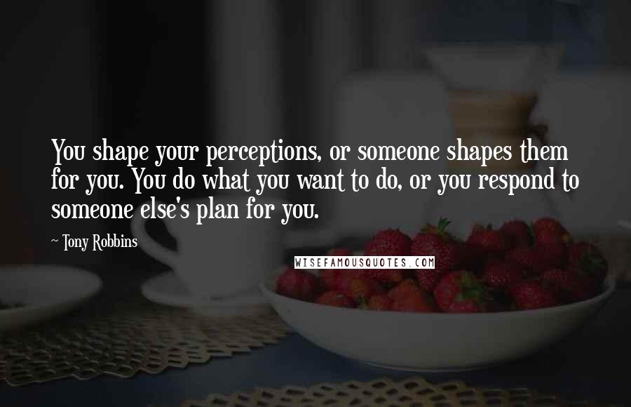 Tony Robbins Quotes: You shape your perceptions, or someone shapes them for you. You do what you want to do, or you respond to someone else's plan for you.