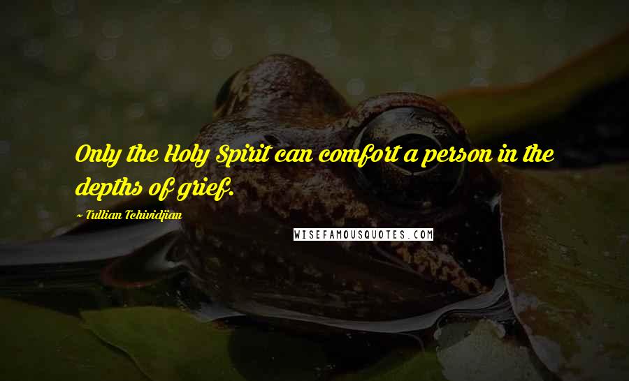 Tullian Tchividjian Quotes: Only the Holy Spirit can comfort a person in the depths of grief.