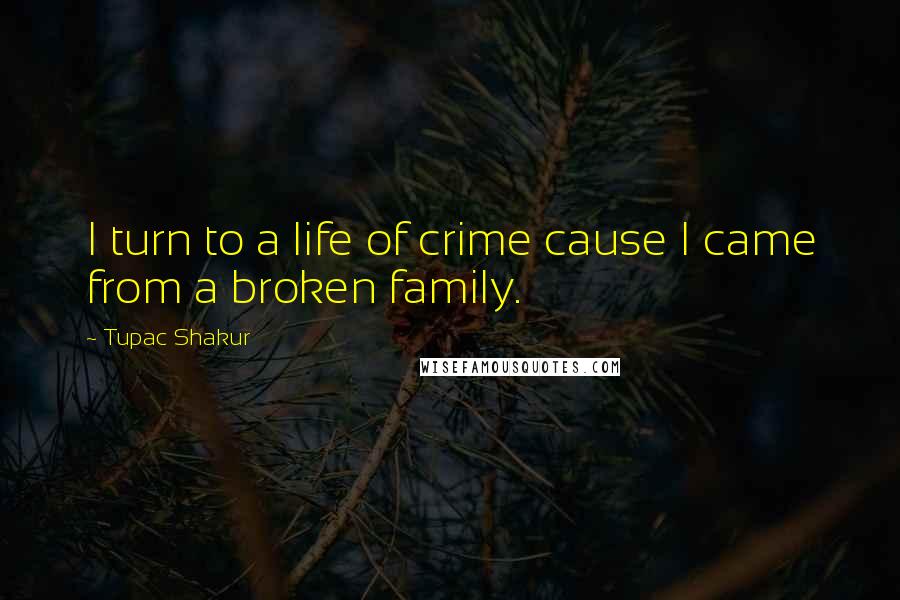 Tupac Shakur Quotes: I turn to a life of crime cause I came from a broken family.