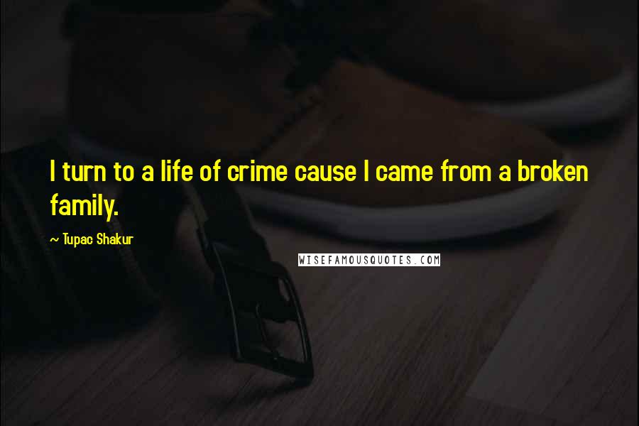 Tupac Shakur Quotes: I turn to a life of crime cause I came from a broken family.