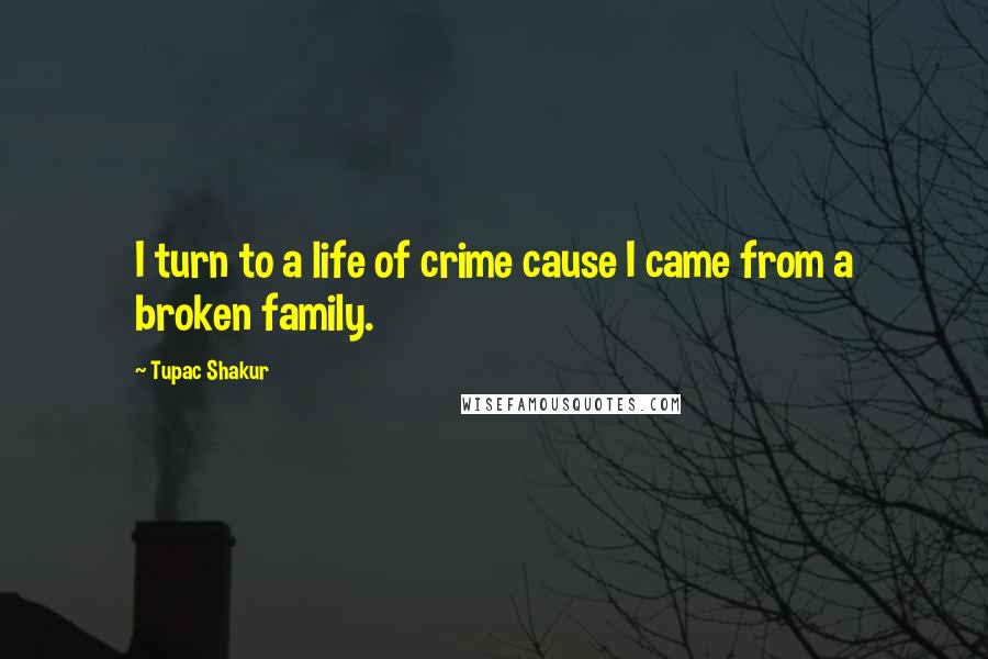 Tupac Shakur Quotes: I turn to a life of crime cause I came from a broken family.