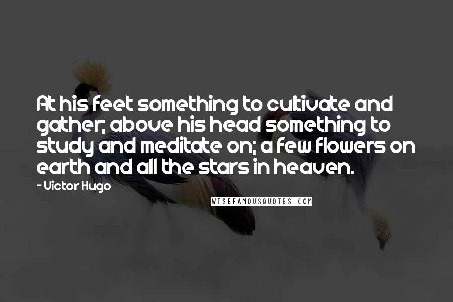 Victor Hugo Quotes: At his feet something to cultivate and gather; above his head something to study and meditate on; a few flowers on earth and all the stars in heaven.