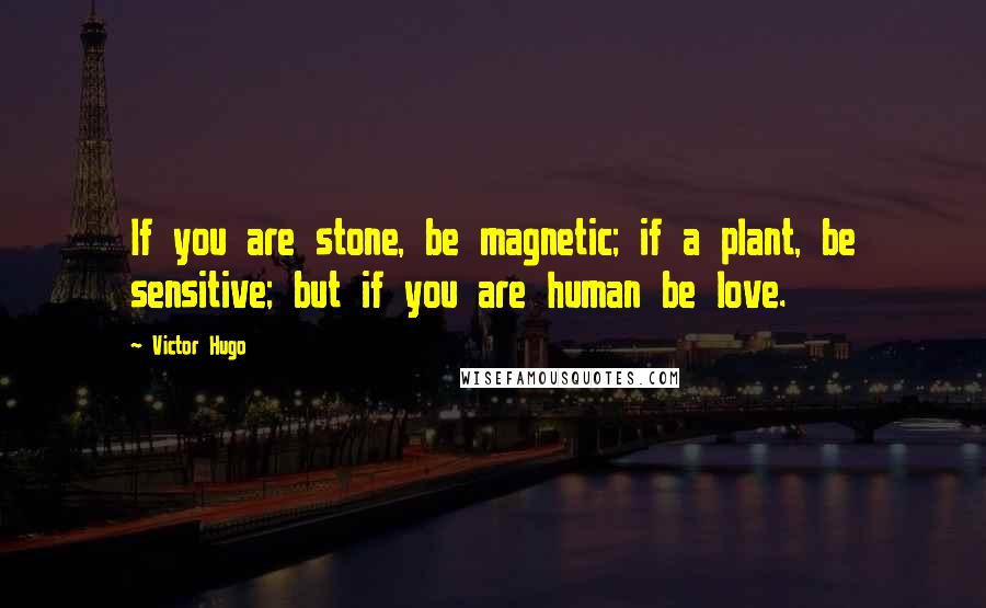 Victor Hugo Quotes: If you are stone, be magnetic; if a plant, be sensitive; but if you are human be love.