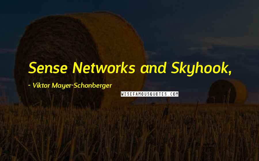 Viktor Mayer-Schonberger Quotes: Sense Networks and Skyhook,