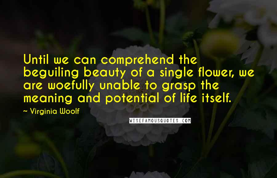 Virginia Woolf Quotes: Until we can comprehend the beguiling beauty of a single flower, we are woefully unable to grasp the meaning and potential of life itself.