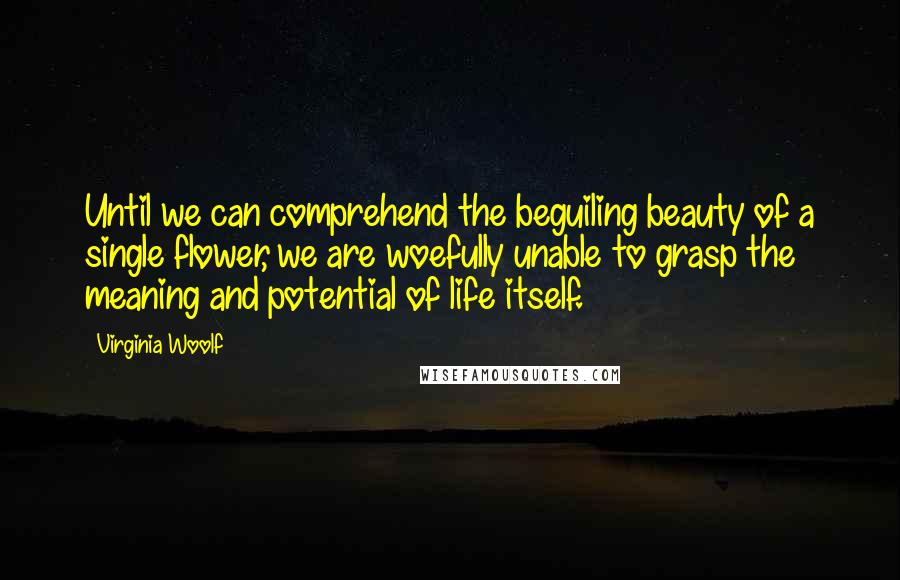 Virginia Woolf Quotes: Until we can comprehend the beguiling beauty of a single flower, we are woefully unable to grasp the meaning and potential of life itself.