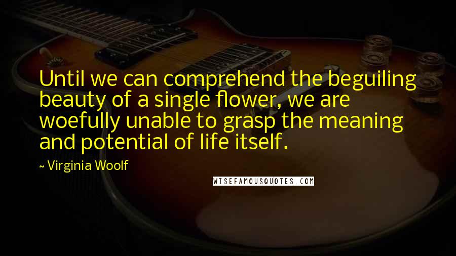 Virginia Woolf Quotes: Until we can comprehend the beguiling beauty of a single flower, we are woefully unable to grasp the meaning and potential of life itself.