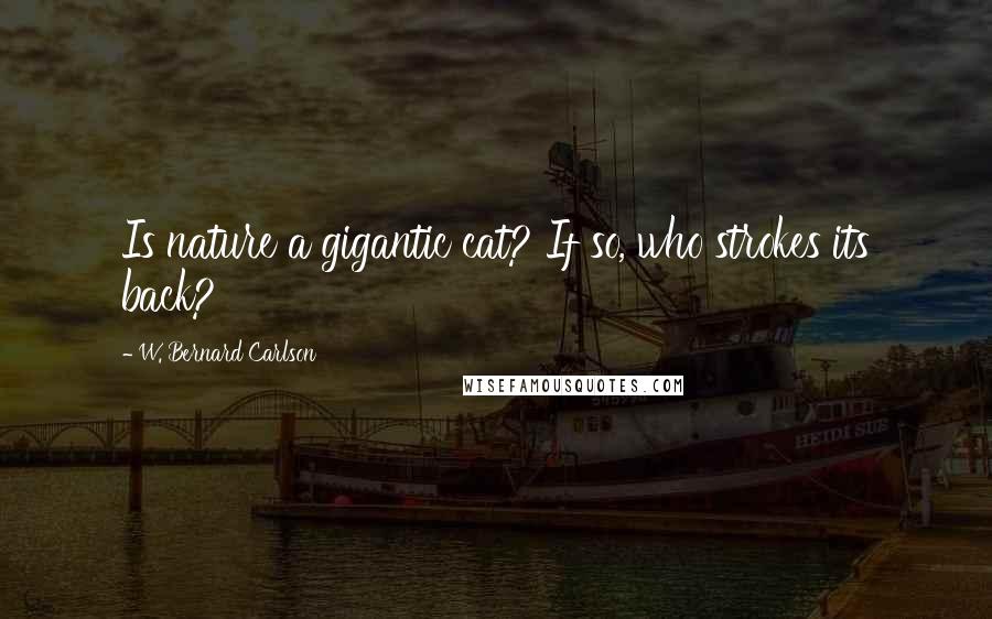 W. Bernard Carlson Quotes: Is nature a gigantic cat? If so, who strokes its back?