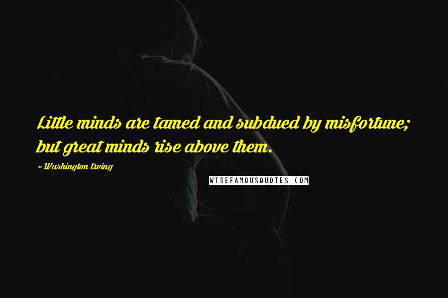 Washington Irving Quotes: Little minds are tamed and subdued by misfortune; but great minds rise above them.