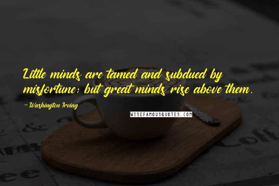 Washington Irving Quotes: Little minds are tamed and subdued by misfortune; but great minds rise above them.