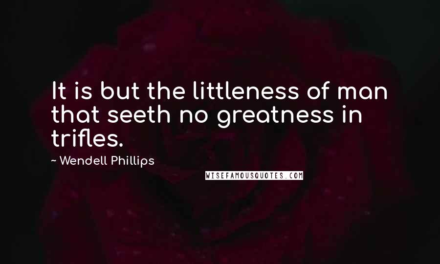 Wendell Phillips Quotes: It is but the littleness of man that seeth no greatness in trifles.