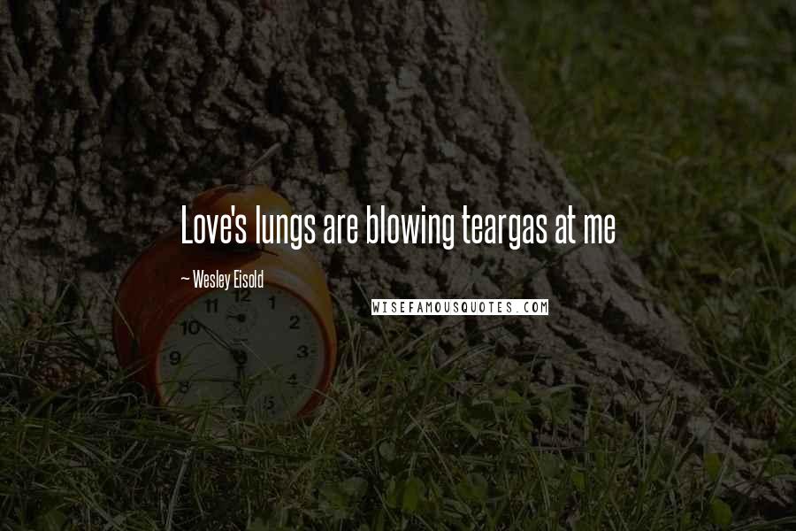 Wesley Eisold Quotes: Love's lungs are blowing teargas at me