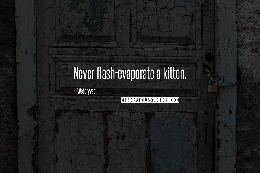 Wetdryvac Quotes: Never flash-evaporate a kitten.