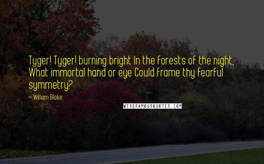 William Blake Quotes: Tyger! Tyger! burning bright In the forests of the night, What immortal hand or eye Could frame thy fearful symmetry?