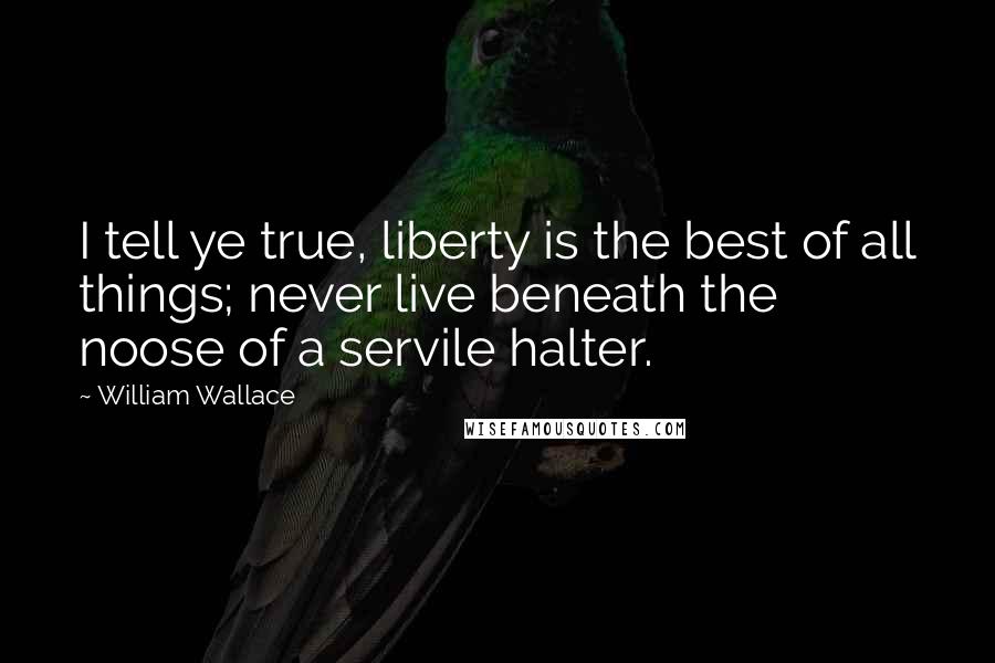 William Wallace Quotes: I tell ye true, liberty is the best of all things; never live beneath the noose of a servile halter.