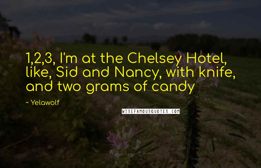 Yelawolf Quotes: 1,2,3, I'm at the Chelsey Hotel, like, Sid and Nancy, with knife, and two grams of candy